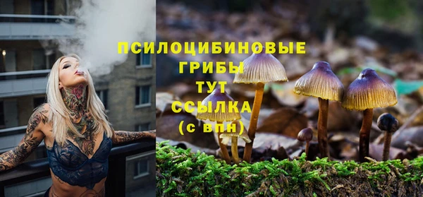бутират Бородино