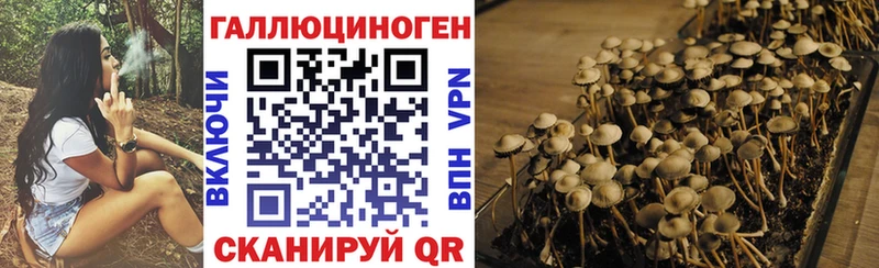 Псилоцибиновые грибы мухоморы  Мелеуз 